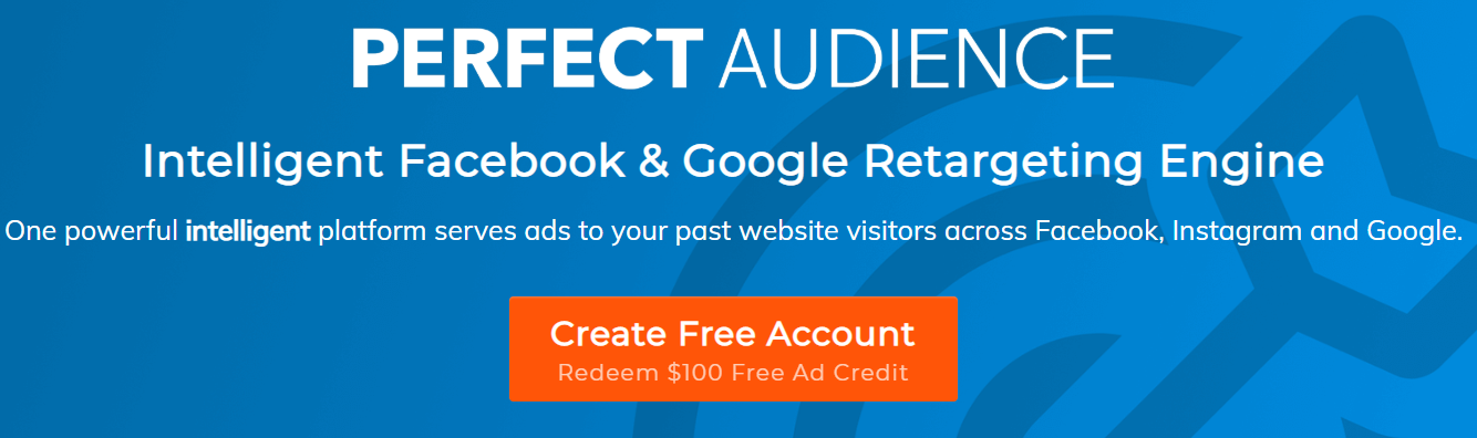 Perfect Audience Review and Free Ads Credit